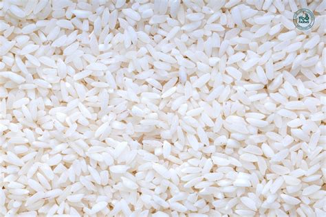 Chimansaal Rice (Semi Polished) – OOO Farms
