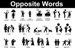 Educational Sticker Poster For Kids Learning|Opposite Words Sticker ...