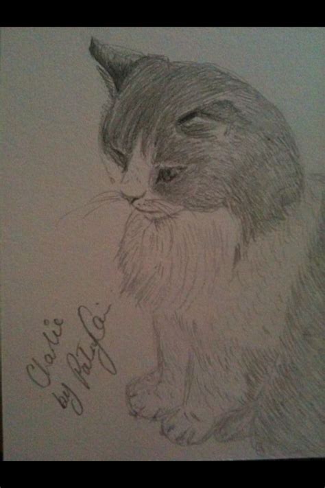 Image result for Patsy Stone Pencil Drawings