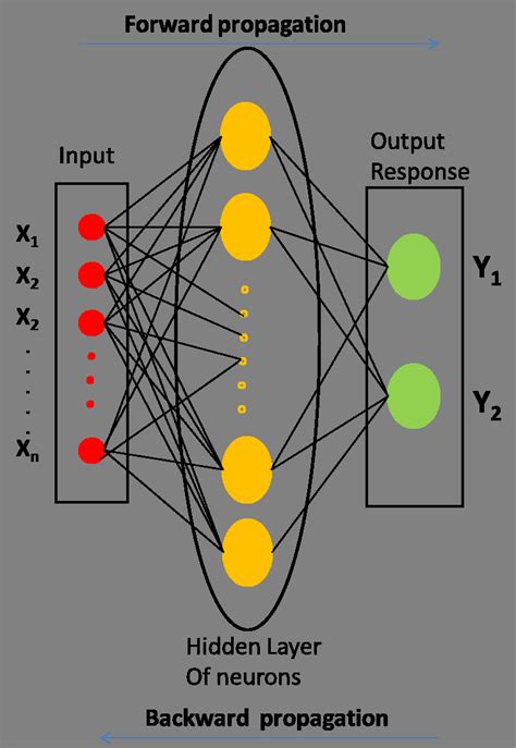Neural Networks 的图像结果