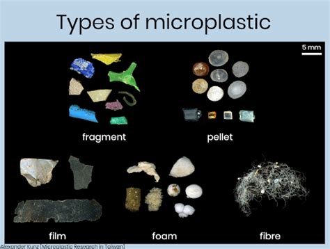 All types of microplastics you should know