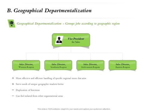 Divisional Structure Model 的图像结果
