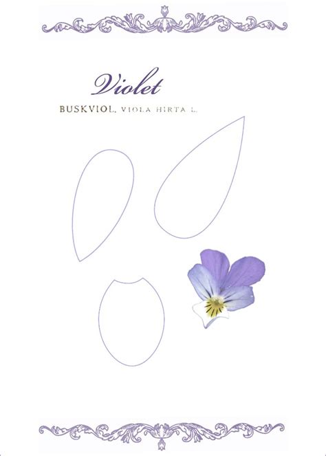 Image result for Paper Violet Tutorial