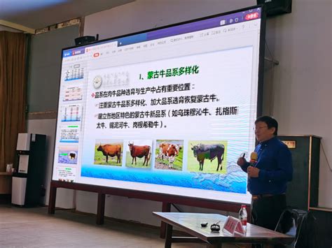 兴安盟农牧局-兴安盟畜牧工作站参加蒙古牛基因保护与开发利用
