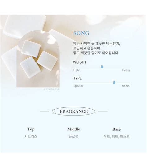 Song Perfume Body Wash 500mL - maccaron.in