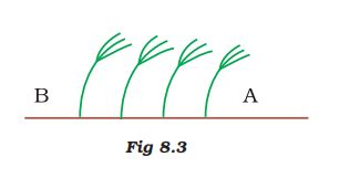 Image result for Class 7 Science Chapter 8