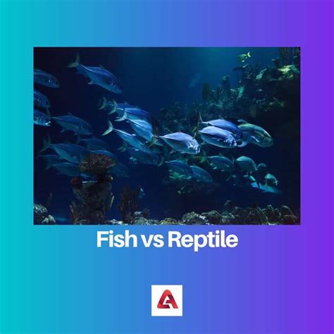 Fish Are Reptiles at Timothy Orear blog