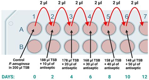 Activity of Antiseptics Against Pseudomonas aeruginosa and Its ...