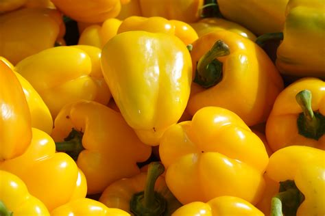 Free Images : fruit, flower, food, produce, vegetable, yellow ...