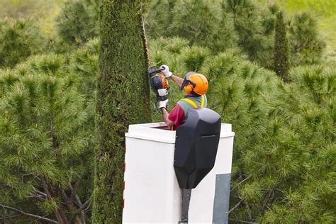 Image result for Alpharetta Tree Service