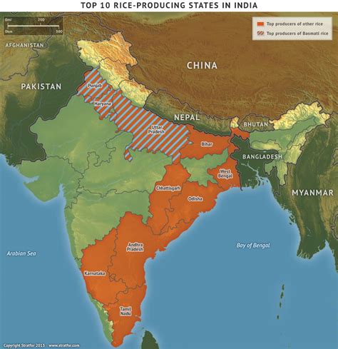 India's New Grain Bill and the Geopolitics of Rice