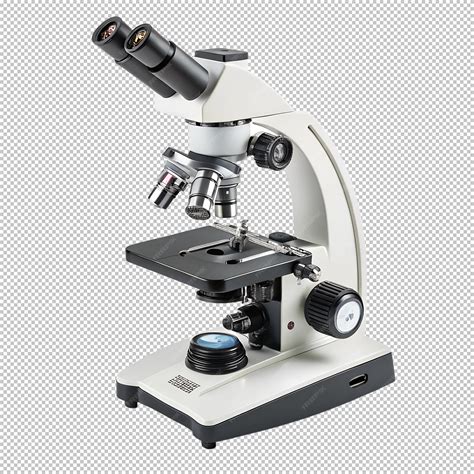 Microscope No Background 的图像结果