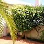 Image result for Reflection Maison Lagos Portugal