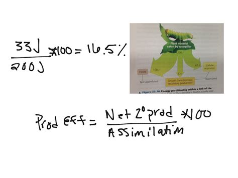 Efficiency Equation Example 的图像结果