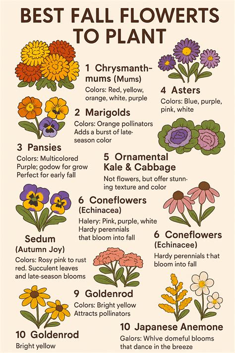 Best 13 Fall Sowing Flowers: 20 Cut Flowers to Plant in Fall for Spring ...