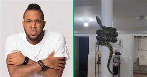 Image result for Giant Python Pillow