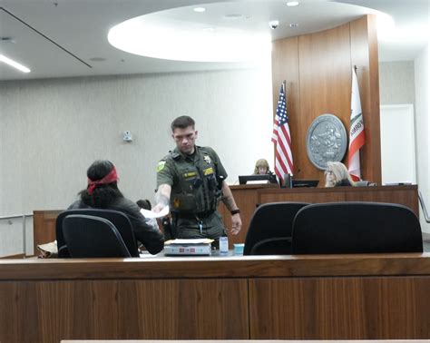 CONSTITUTIONAL AUTHORITY CHALLENGED IN MOUNT SHASTA ARREST CASE ...