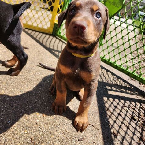 Chuck and Dons, 2114 Ford Pkwy, St Paul, MN 55116-1813, United States ...