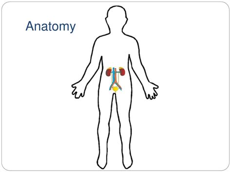 Image result for Hand-Assisted Nephrectomy