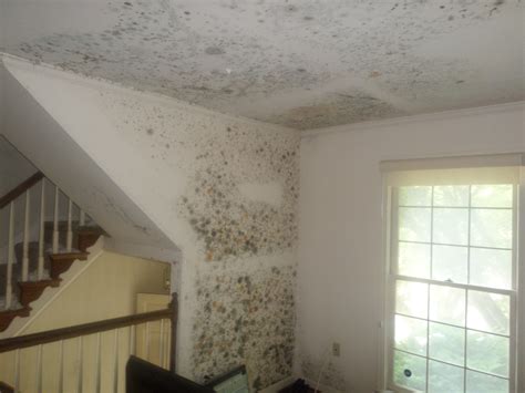 Home Exercise Program for Beginners 的图像结果