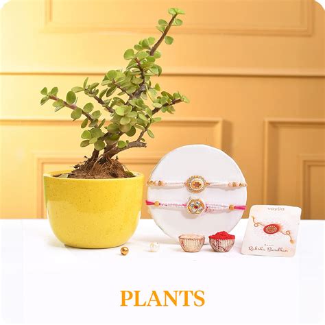 Buy Rakhi Online in India | Up to 60% Off | Shop Now at Voylla – VOYLLA