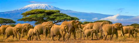 Kenya Weather in July 2026: Travel Tips for First-Timers