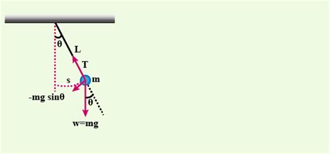 Image result for Example of SHM