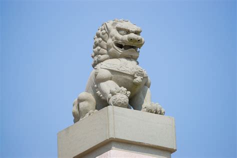 石狮-企业相册-泉州台商投资区洛阳兴达石雕经营部