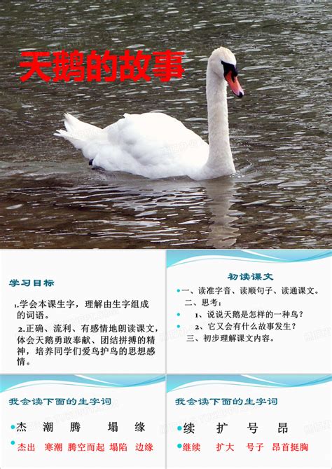 Code API 的图像结果