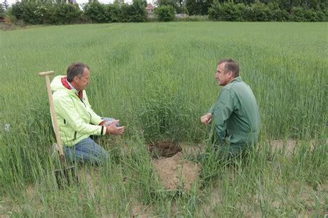 Bodenfeuchte im Feld halten: Wie Kompost dabei hilft | agrarheute.com