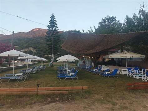 Excellent seafood taverna - Reviews, Photos - Atheronisi Restaurant ...