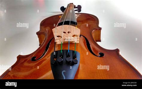 Stringed Instrument 的图像结果