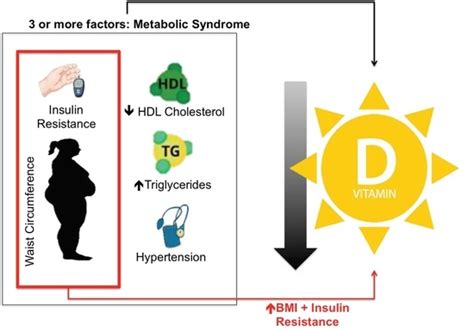 Vitamin D Deficient Older Adults Are More Prone to Have Metabolic ...