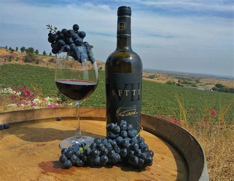 9 Indian wine brands you must add to your collection | Architectural ...