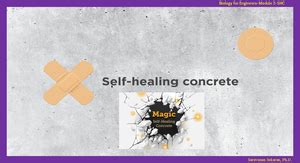 Biology Project ON DRUG Resistance IN Bacteria - BIOLOGY PROJECT ON ...