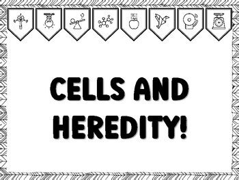 CELLS AND HEREDITY! Grade 7 And 8 Science Bulletin Board Kit school ...