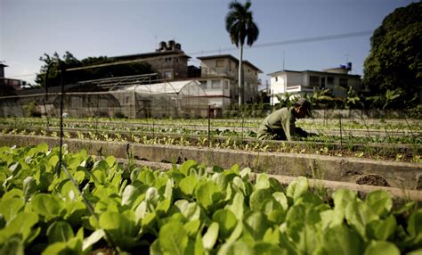 Cuba found to be the most sustainably developed country in the world