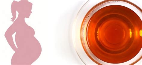 6 Great Rooibos Tea (Red Bush Tea) Benefits | Tea-and-Coffee.com