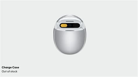 Humane to AI Pin owners: Don't use the charging case, it may burst into ...