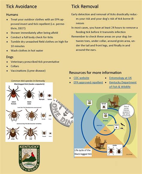 Ticks are sometimes more than just a seasonal nuisance | Article | The ...