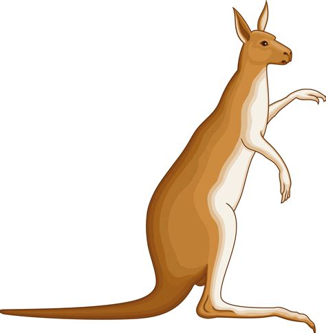 Clip Art Kangaroo