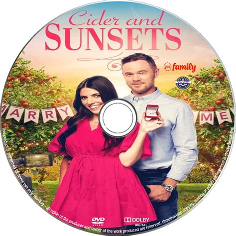 Cider And Sunsets [ALSO KNOWN AS How To Find Forever] [DVD] [DISC ONLY ...