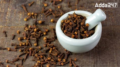 Which Country is Known as Island of Cloves?
