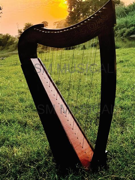Image result for 22 String Harp