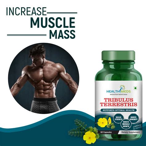 Buy HEALTHMEDS TRIBULUS TERRESTRIS WITH GOKSHURA EXTRACT | FOR MEN ...