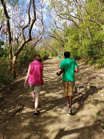 See St. Lucia Topless!! Mini Cooper Road Trip (Gros Islet) - All You ...