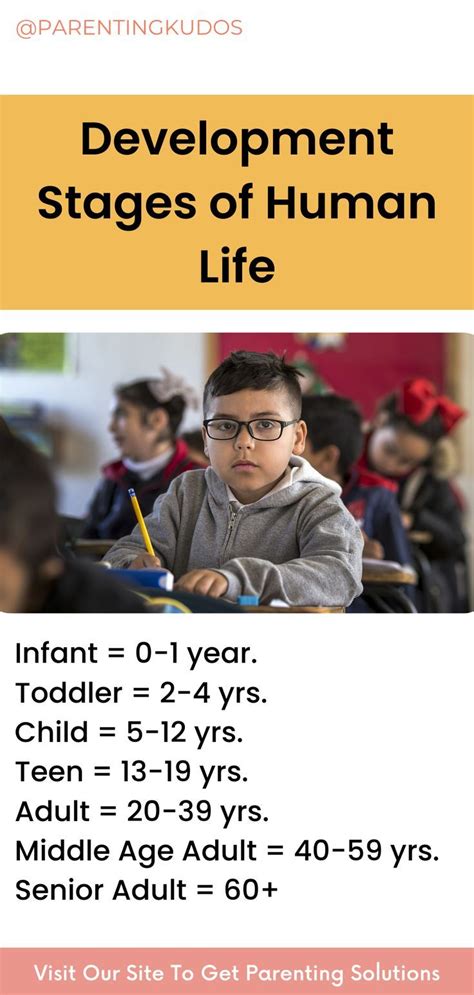 Image result for Human Development Stages Chart