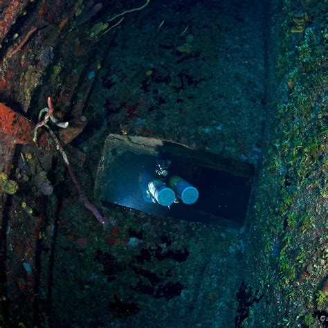 ROATAN TEC CENTER (2026) All You Need to Know BEFORE You Go (with ...