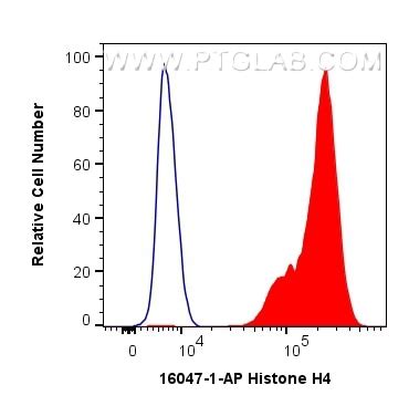 Histone H4 antibody (16047-1-AP) | Proteintech