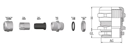 Brass Cable Gland-Small Range Type